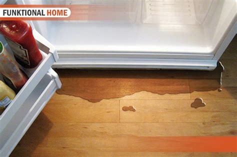 frigidaire fridge leaking water|Refrigerators